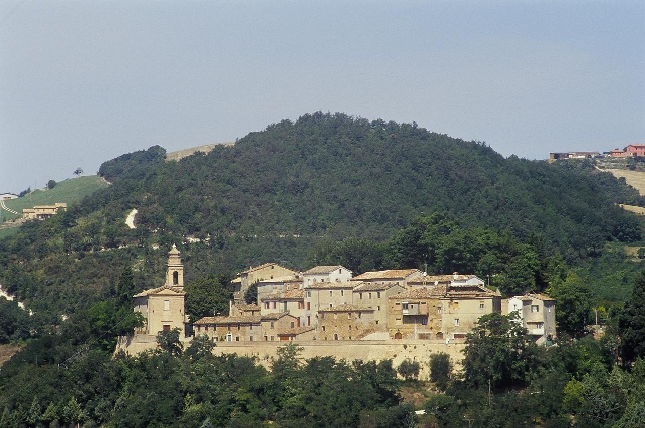 Agriturismo Pozzuolo Serrungarina Exterior foto